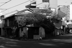 Ｙ字路