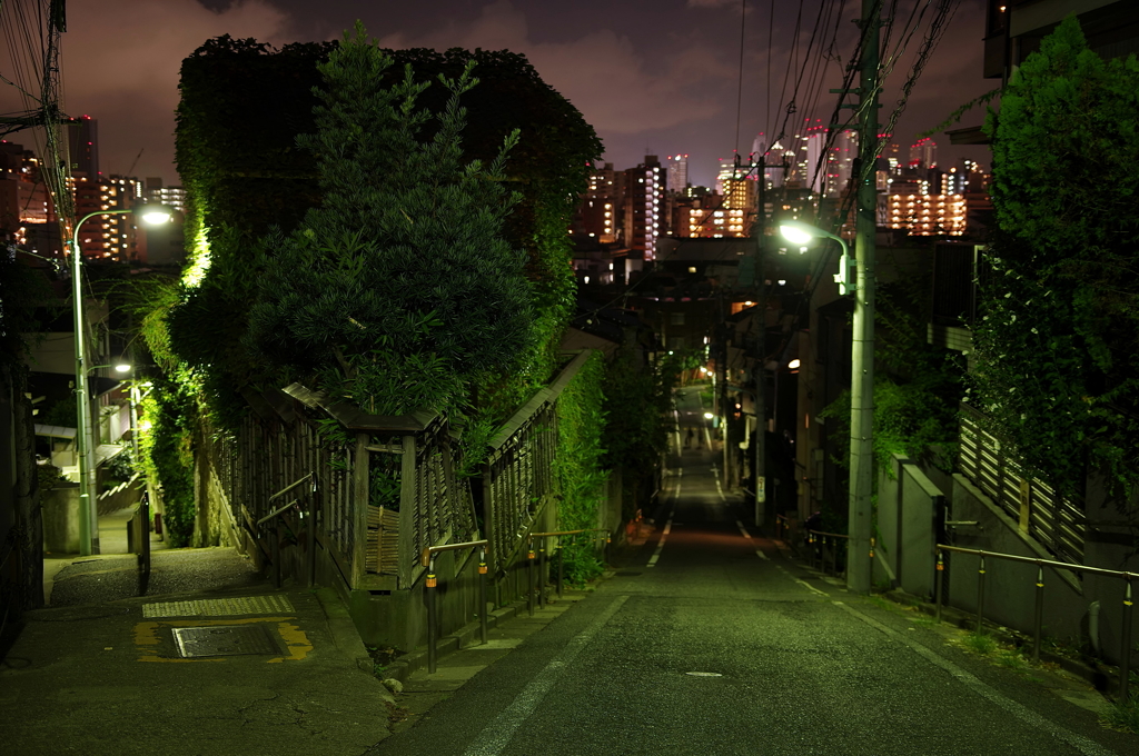 夏の富士見坂