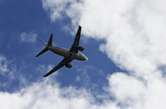 flight