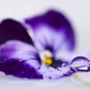 waterdrop