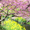 spring is to there3