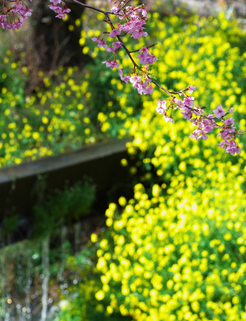 spring is to there2
