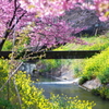 spring is to there1