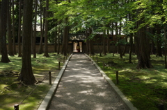 世界遺産　唐招提寺