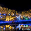 備北丘陵公園 ウィンター・イルミネーション2015⑤