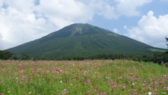 大山とコスモス
