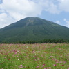 大山とコスモス