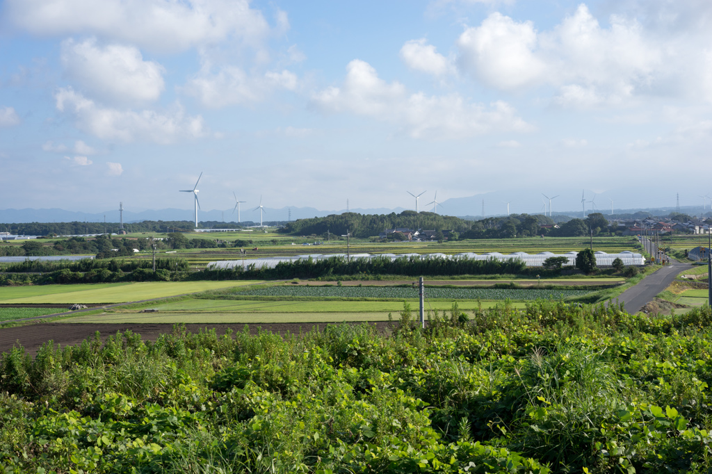 風車のある田園風景
