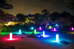 日本庭園　イルミネーション