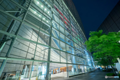 東京国際フォーラム　夜景