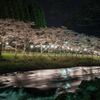 川沿いの桜並木　ライトアップ