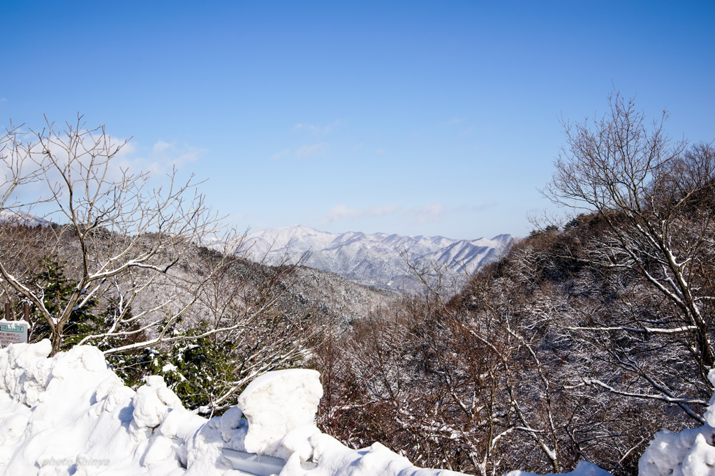 冬の鍵掛峠