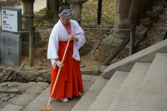 春日大社の巫女さん