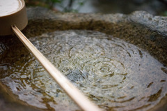 水の波紋
