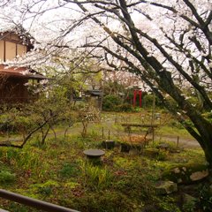 京都風大分