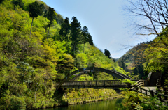 橋と緑