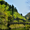 橋と緑