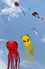 Kite festival 2014 in Bintul 1