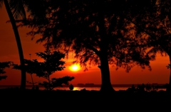 The setting sun of Bintul 1