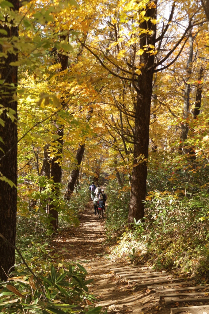 登山道
