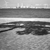 Shadow and Sea