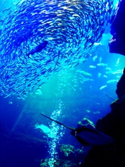 deep blue