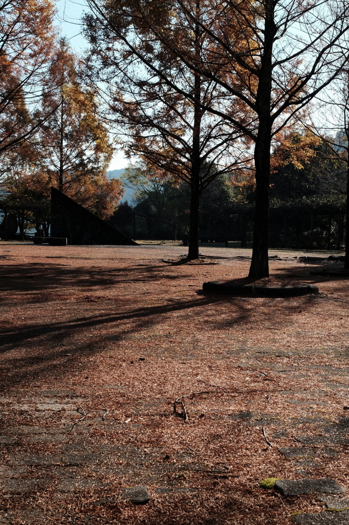 とある寂しい公園