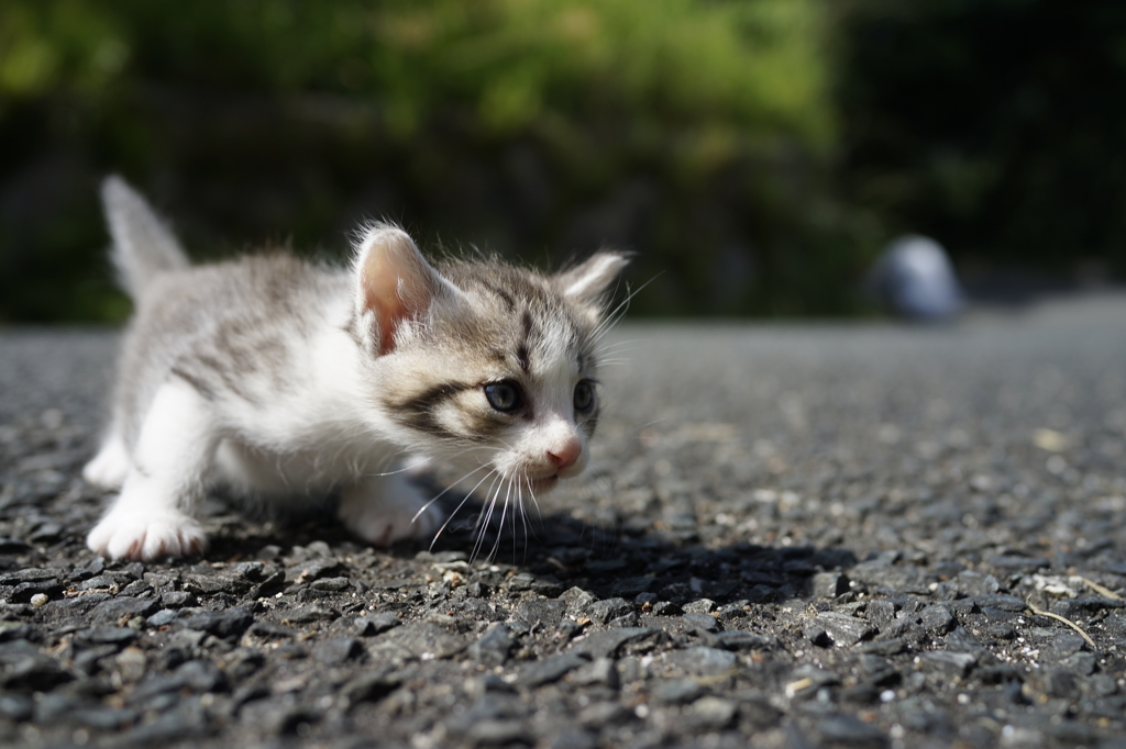 初道路