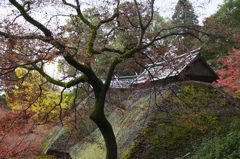 紅葉終わり