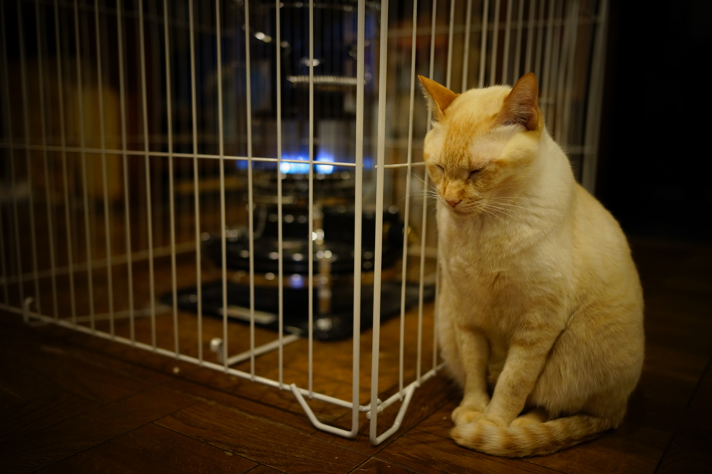 ストーブ