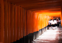 a large collection of torii gate