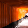 a large collection of torii gate