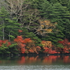 白駒の池