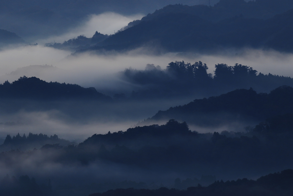 朝霧