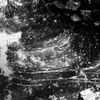 P3150046