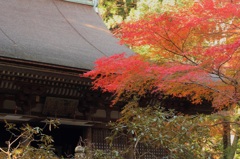 悉地院