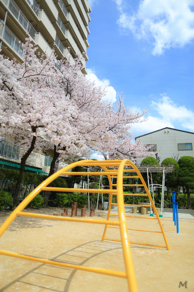 純黄のうんてい、桜付きのマンション。