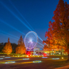 夜の観覧車