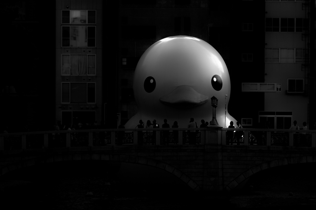 進撃のラバーダック