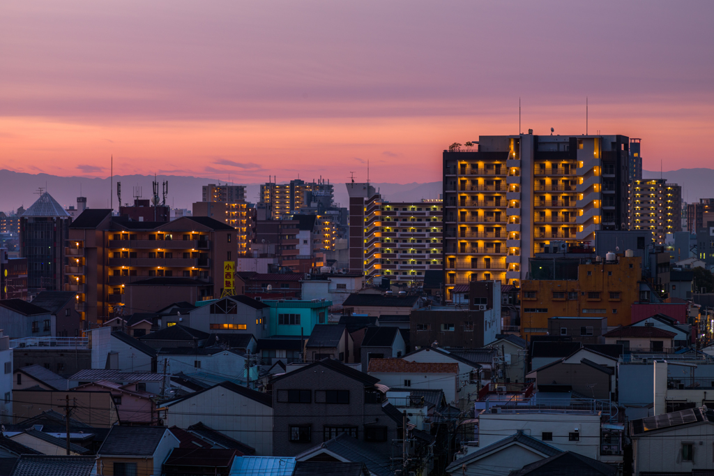 早起きは良いですな。