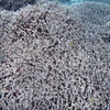 P8040006