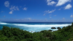 P8050078