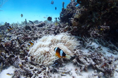 P8040151