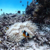 P8040151