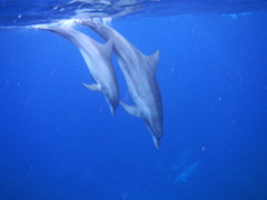 DSCN0545