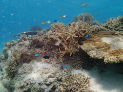 P7290173