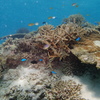 P7290173