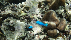 P8050046