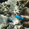 P8050046