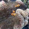 P8040132